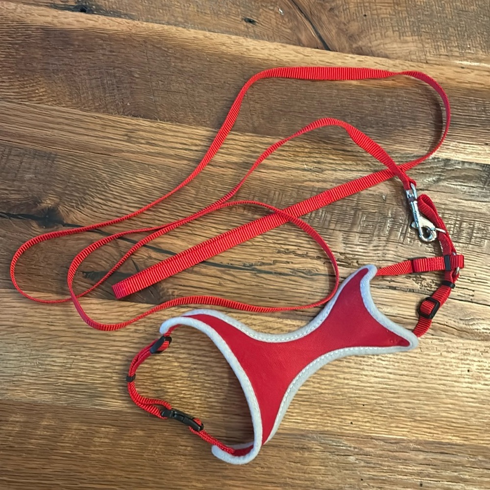 small pet (dog or cat) adjustable harness & leash